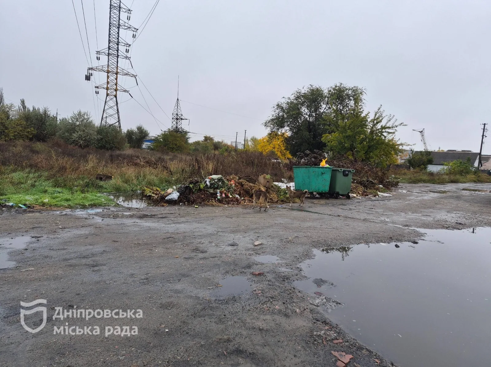 У Дніпрі перевірили договори на послуги з управління побутовими відходами та стан контейнерних майданчиків в Амур-Нижньодніпровському районі - 18.10.2026