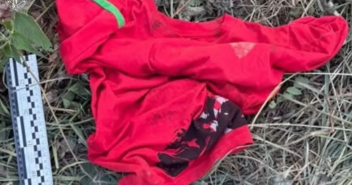На Львівщині за пограбування чоловіка з інвалідністю засудили закарпатця