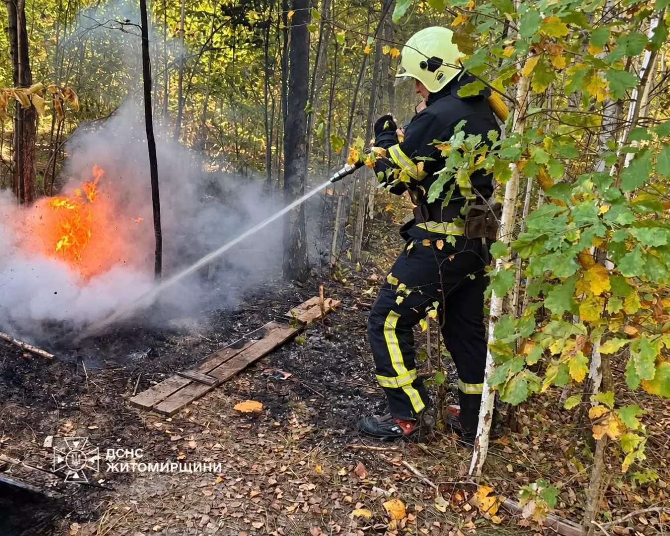 Ліквідація загоряння сухостою біля будівель