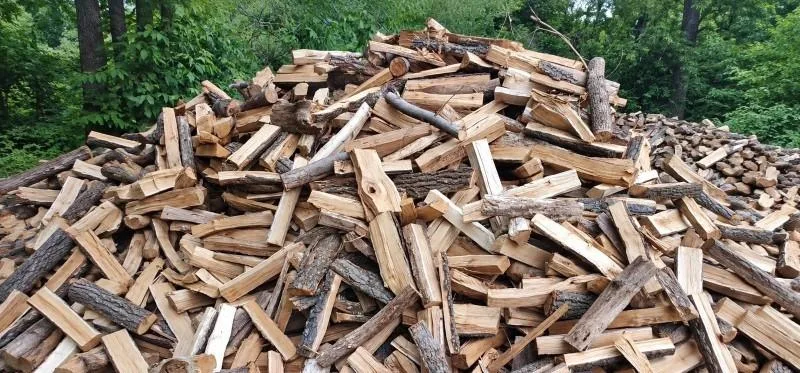 Жителька Тернопільщини віддала шахраям 15 000 грн за дрова, яких не отримала