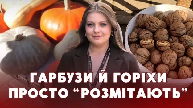Волоські горіхи на вагу золота: які ціни на осінні продукти в Луцьку (відео)