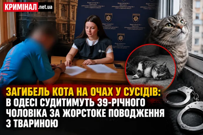 Загибель кота на очах у сусідів: в Одесі судитимуть 39-річного чоловіка за жорстоке поводження з твариною
