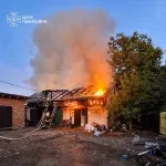 У Кам’янці-Бузькій під час пожежі в господарській будівлі врятували тварин і гараж