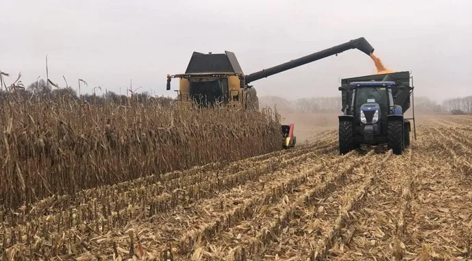Аграрії України обмолотили лише 20% площ кукурудзи