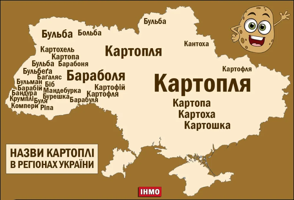 Як змінюється сучасна українська мова: львівська мовознавиця розповіла про діалект, суржик і сленг - 1