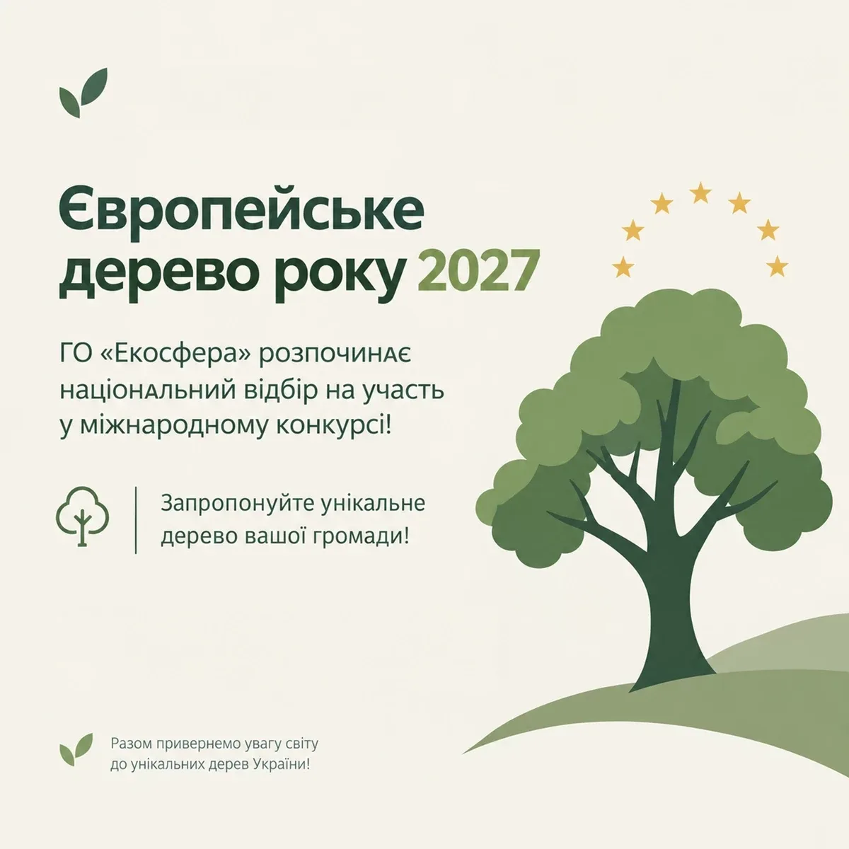 Стартував відбір на "Європейське дерево року 2027": як долучитися громадам Львівщини