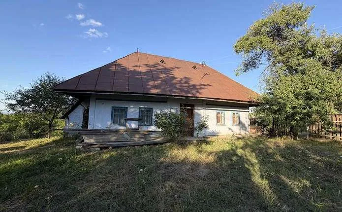 Уряд планує купувати будинки для ВПО у селах Буковини та інших областях