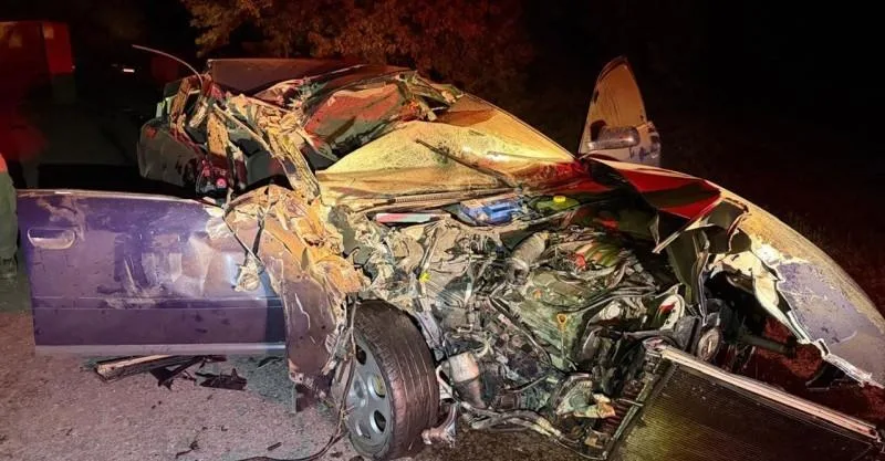 Взяли під варту водія, який у нетверезому стані спричинив смертельну ДТП на Тернопільщині