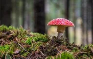 Праздники 15 октября 2026 года: история, традиции