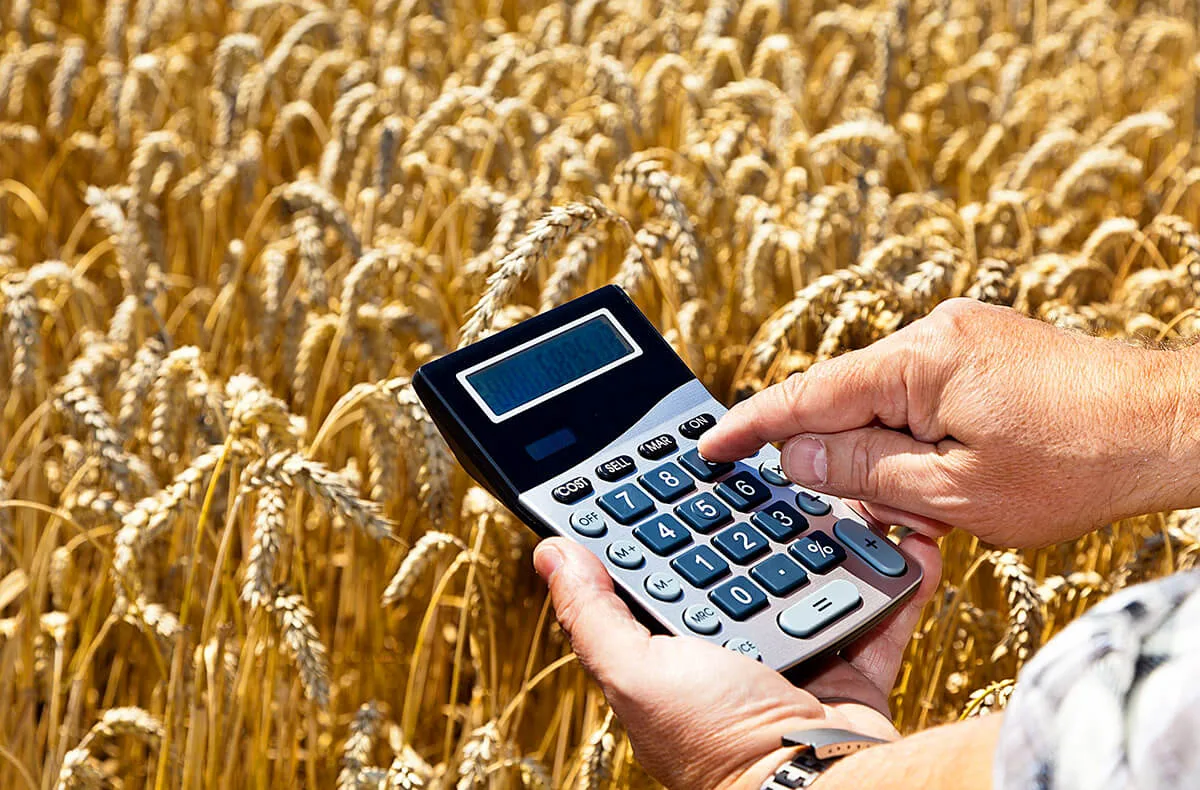 Як не продавати за безцінь? Що заважає малим фермерам заробляти більше.