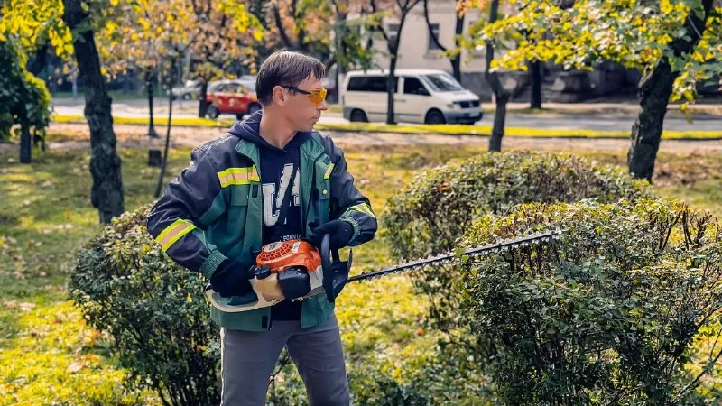 Впорядкування скверу «Університетський» у Миколаєві