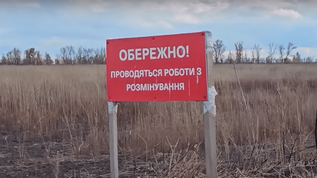 Розмінування в Україні: у шести областях обмежили планування нових робіт