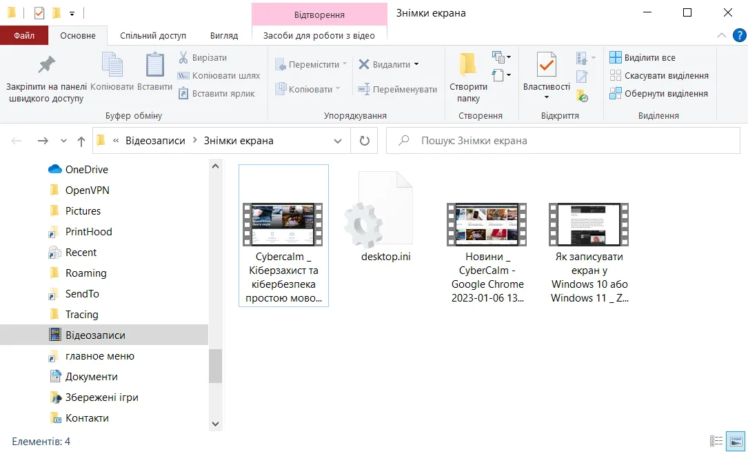 video capture8