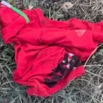 18-річного закарпатця засудили до 7 років за пограбування чоловіка з інвалідністю у Ходорові