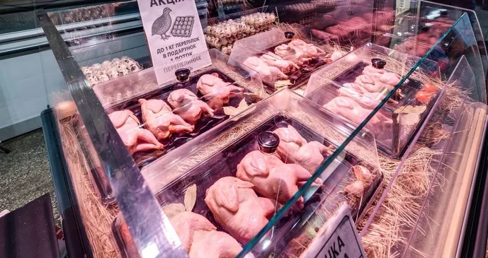 На Львівщині вироблятимуть порошок із перепелиних яєць