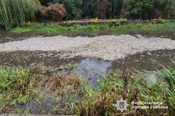 У Хмельницькому збитки від забруднення річки Плоска через обстріл перевищують ₴43 мільйони