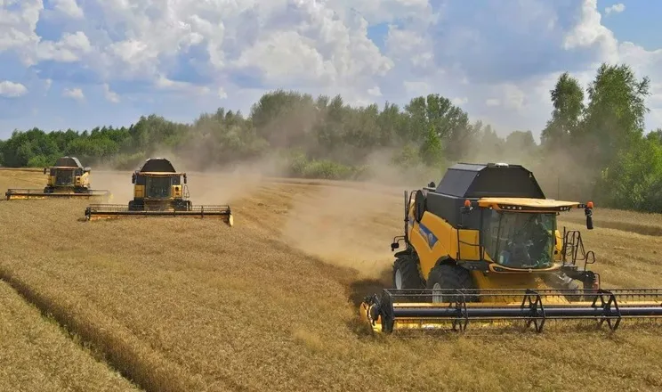 Аграрії Вінниччини зібрали зернові з понад 50% площ