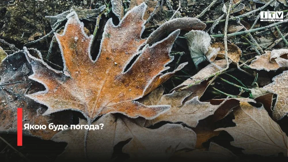Потепління вдень і заморозки вночі прогнозують на Рівненщині