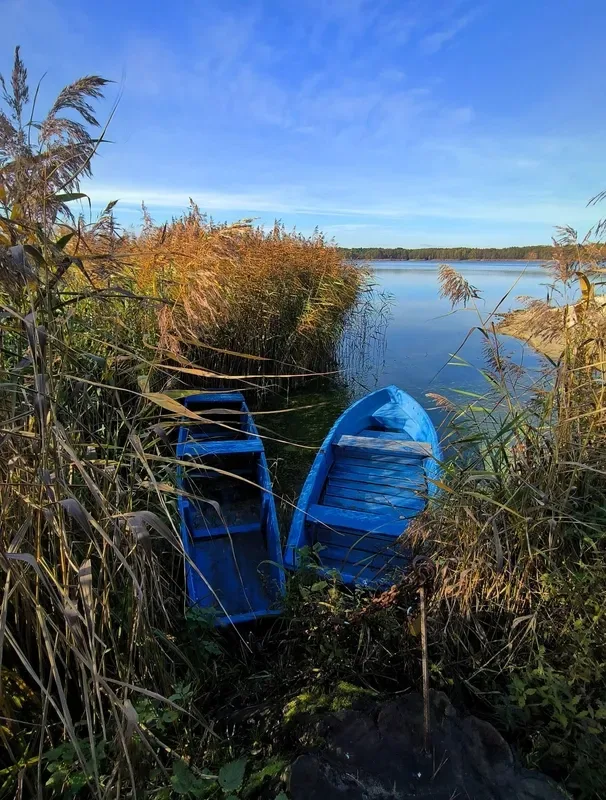 Осінній спокій озера Пісочне у Ковельському районі (фото)