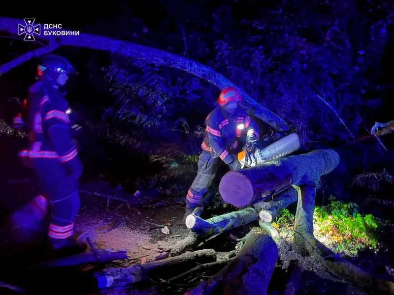 Негода на Буковині повалила дерева: у Чернівцях та в області працюють рятувальники