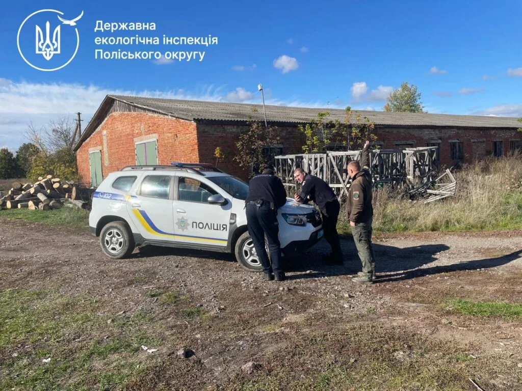 зрубані дерева біля солов'їв