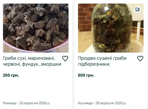 Понад 3000 грн за кілограм білих: які сушені гриби продають на Волині та як їх правильно зберігати