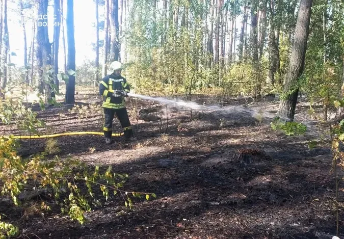 Вогонь охопив 6,2 га: на Волині горіли суха трава, очерет і лісова підстилка (фото)