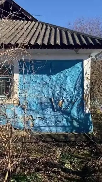 Дом в деревне, обзор