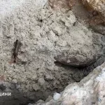 На Львівщині піротехніки знищили мінометну міну часів Другої світової війни