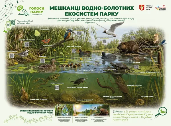 У Луцьку відкрили незвичайну екостежку: у парку можна почути голоси птахів, кажанів і бобрів (фото)