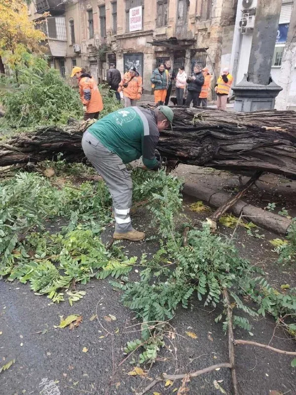 Озеленювач розпилює повалене негодою дерево на вулиці в Одесі