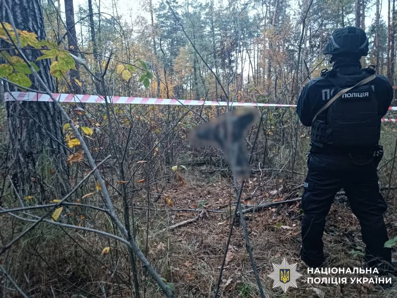 На Київщині внаслідок російської атаки одна людина постраждала, пошкоджено будинки (фото)