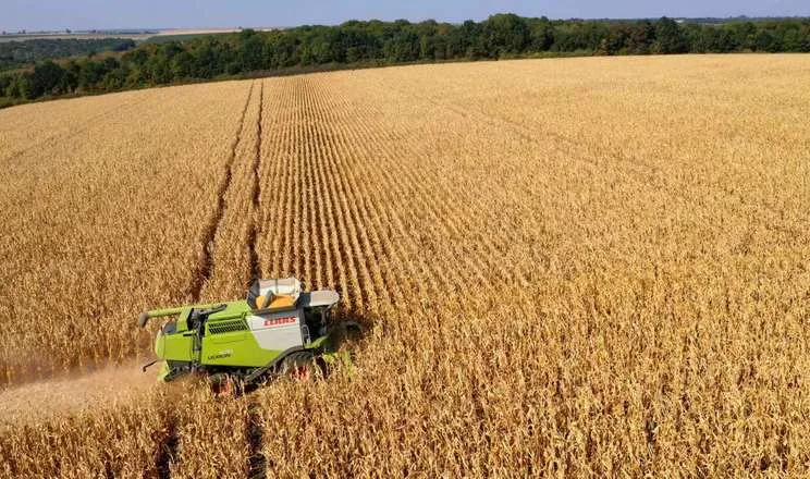 ФГ «Авангард-Т» на Кіровоградщині перегляне підхід до вибору гібридів за ФАО