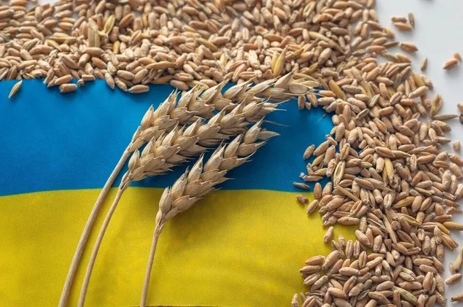 Польща та Румунія відмовилися збільшувати транзит зерна з України – ЗМІ