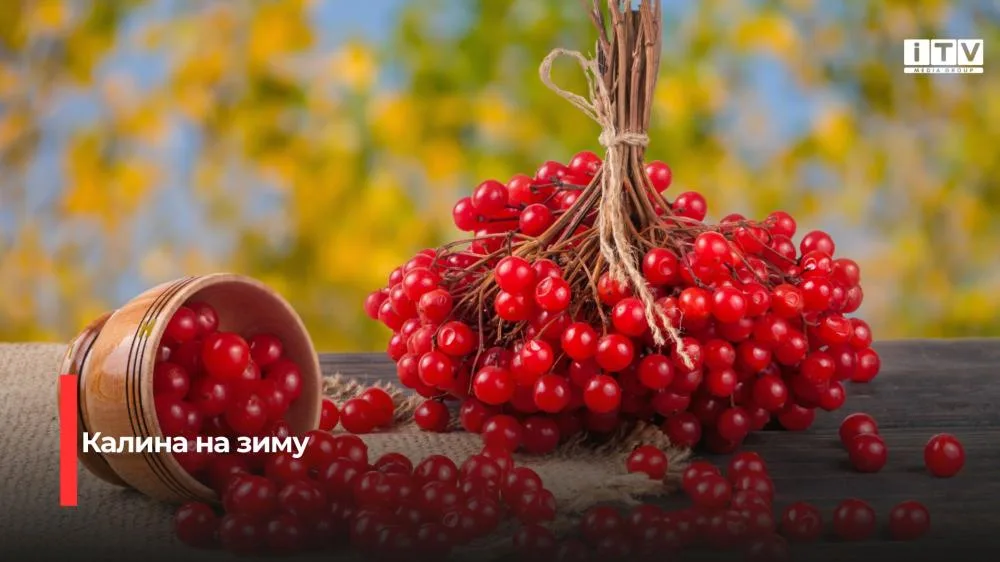 Калина з медом, цукром і лимоном: 5 способів заготівлі на зиму
