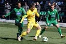Буковина — Полісся. Напередодні