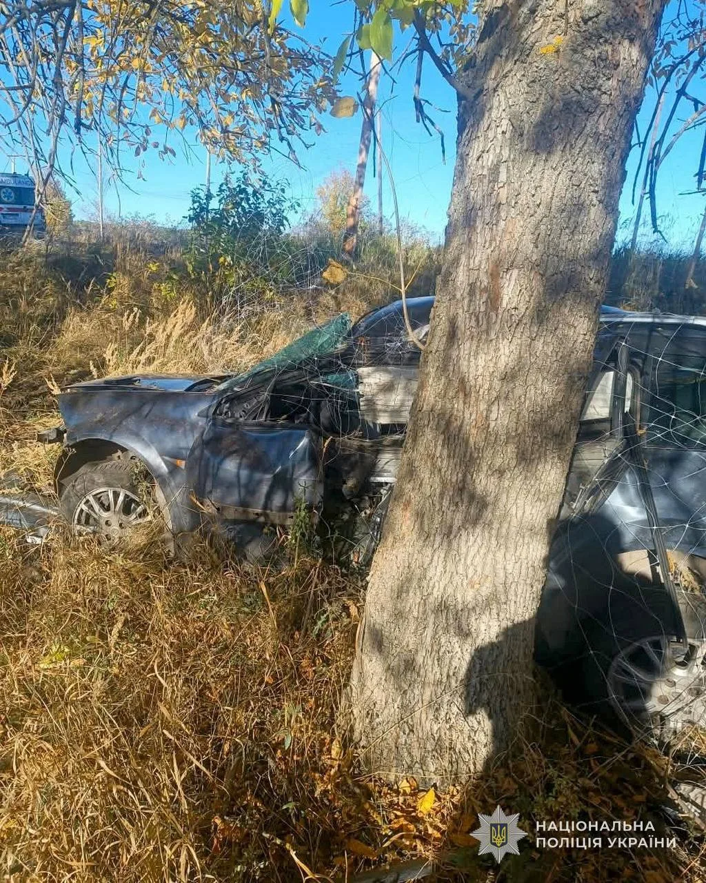 На Глухівщині поліція розслідує ДТП, у якій загинув чоловік