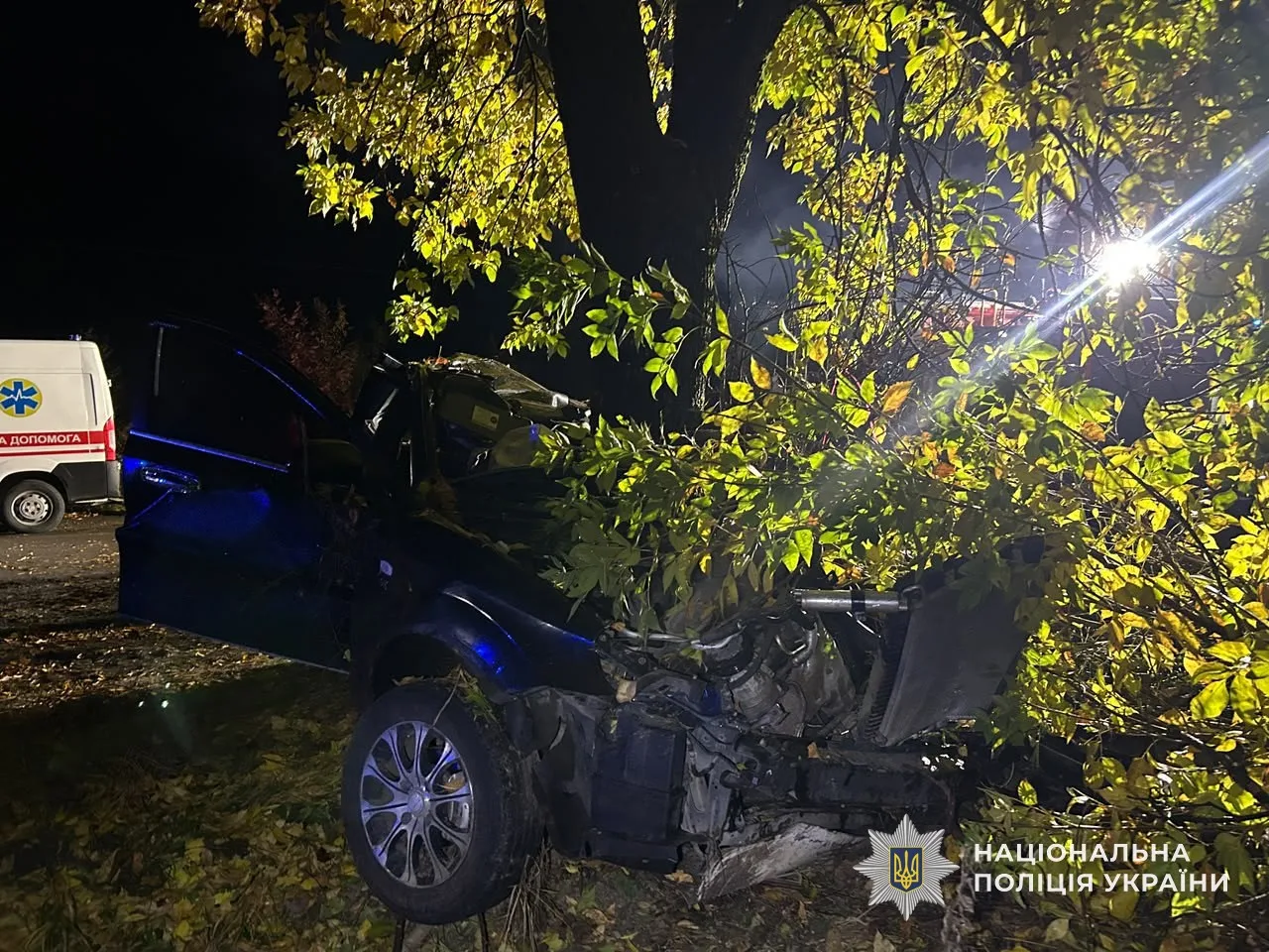 На Закарпатті внаслідок ДТП загинули троє людей, серед них – неповнолітні