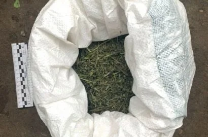 Справа про незаконний обіг канабісу та погрози поліцейським у Вознесенську