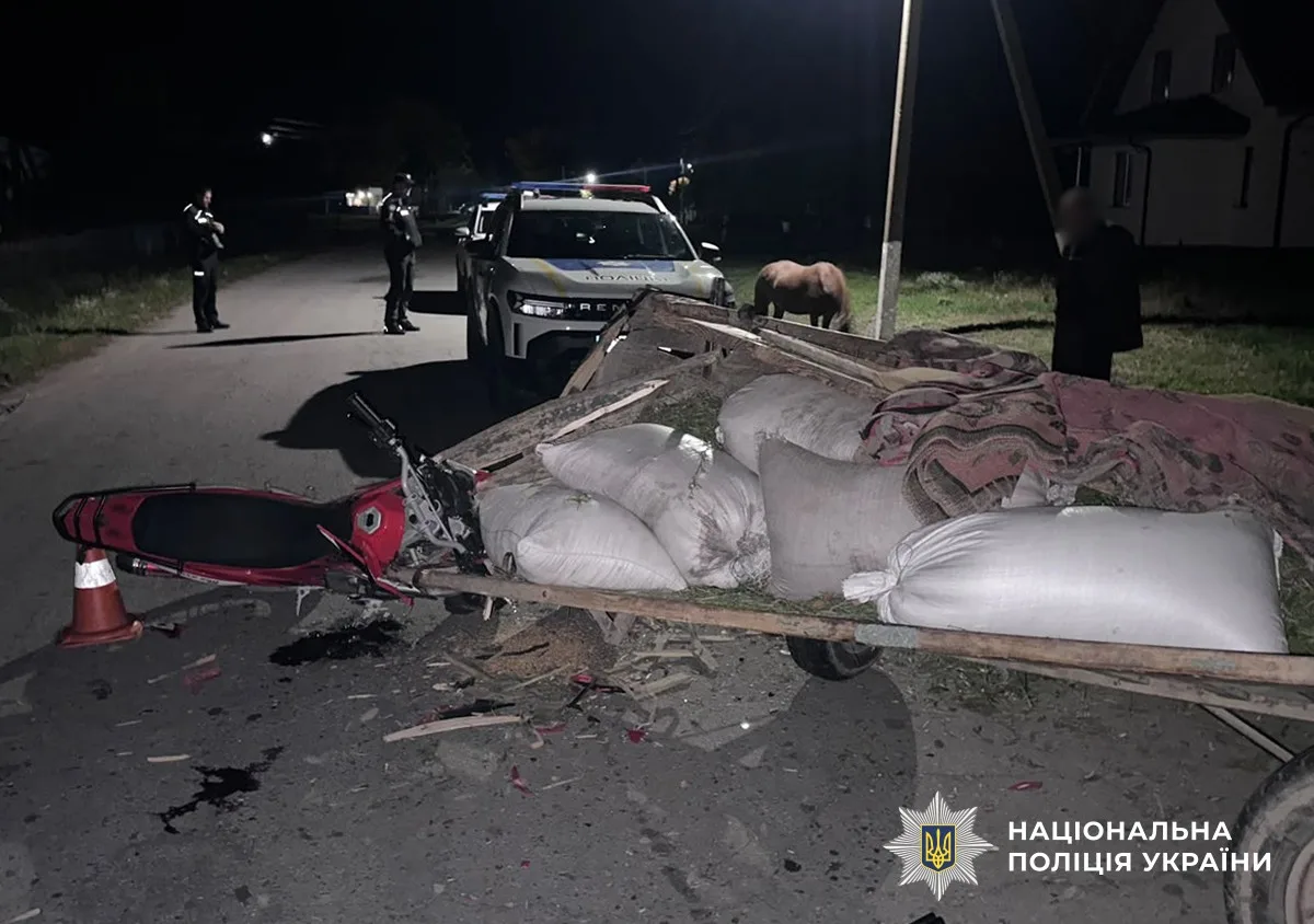 Мотоцикл врізався у кінний віз на Звягельщині: є потерпілі