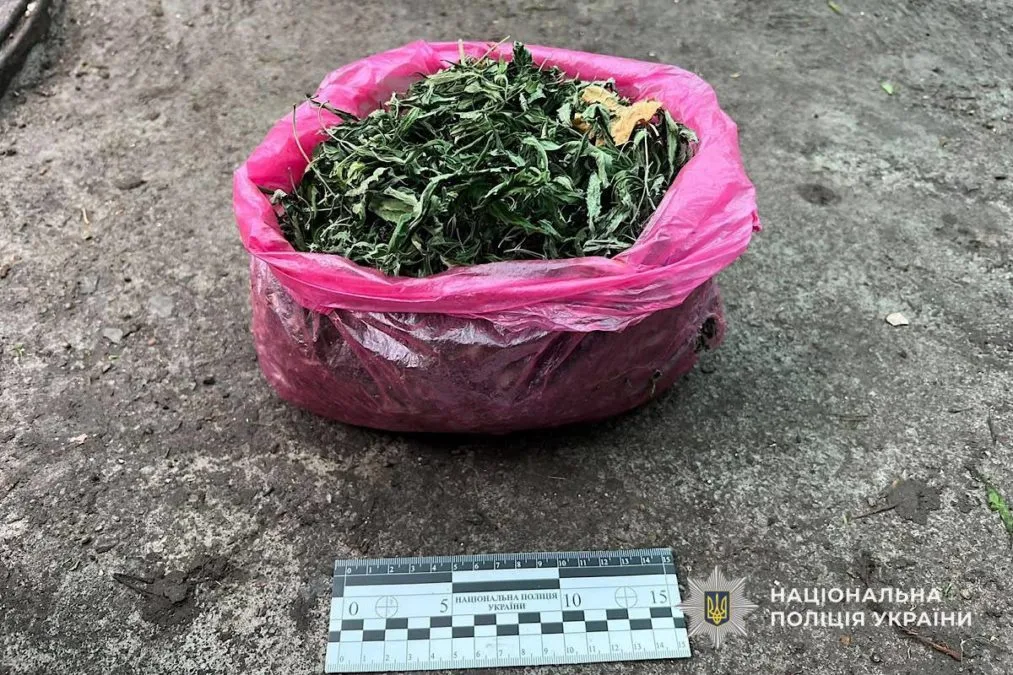У Марганці в місцевої мешканки вилучили кущі конопель та висушені нарковмісні рослини - 17.10.2026 У Марганці в місцевої мешканки вилучили кущі конопель та висушені нарковмісні рослини - 17.10.2026