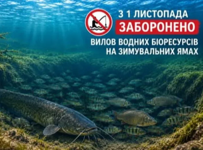 З 1 листопада на Сумщині починає діяти заборона на вилов риби на зимувальних ямах