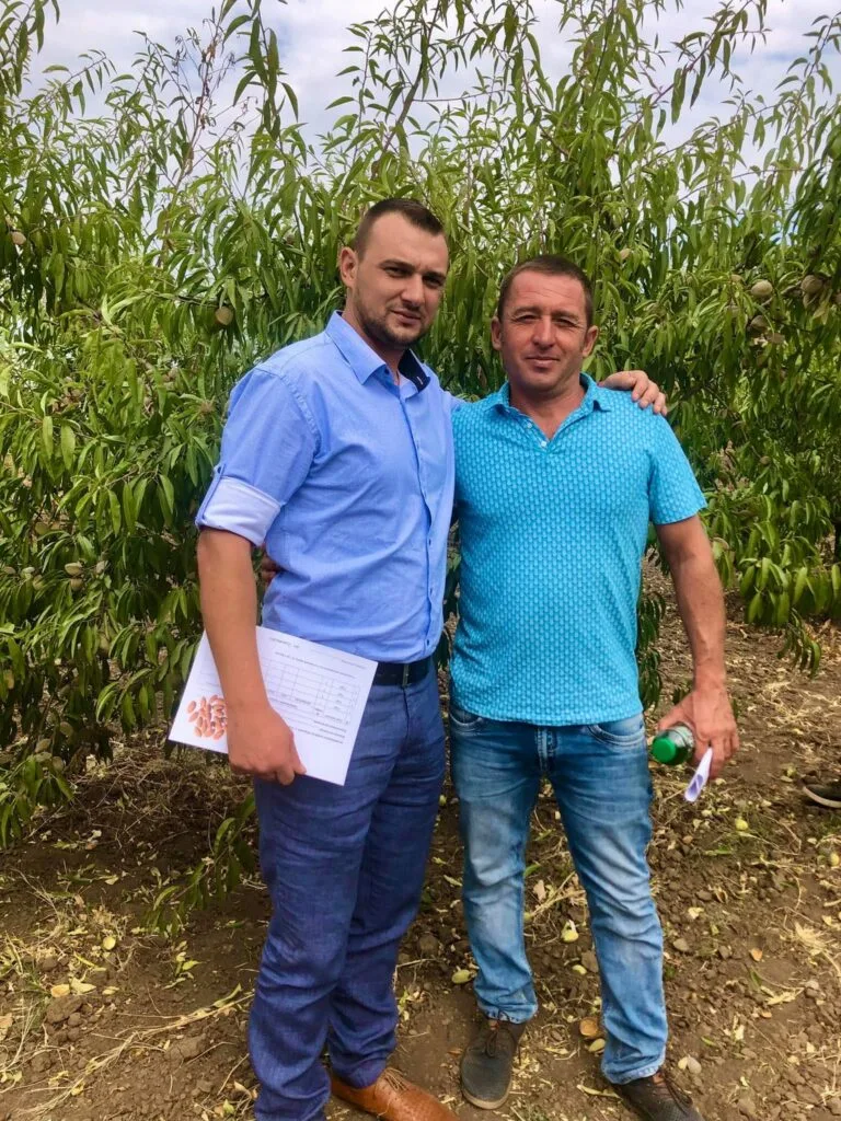 Мигдаль у Бессарабії росте краще, ніж в Іспанії: селекціонер Володимир Балабан розкрив секрети прибуткового бізнесу