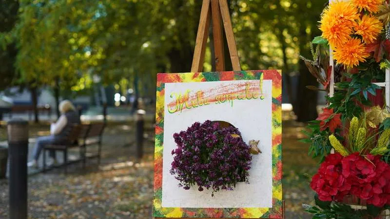 У центральному парку імені Тараса Шевченка в Чернівцях облаштовані нові осінні фотозони У центральному парку імені Тараса Шевченка в Чернівцях облаштовані нові осінні фотозони