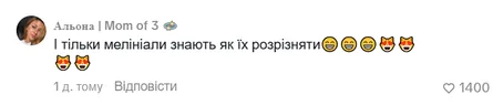 Реакция сети на братьев Борисенко
