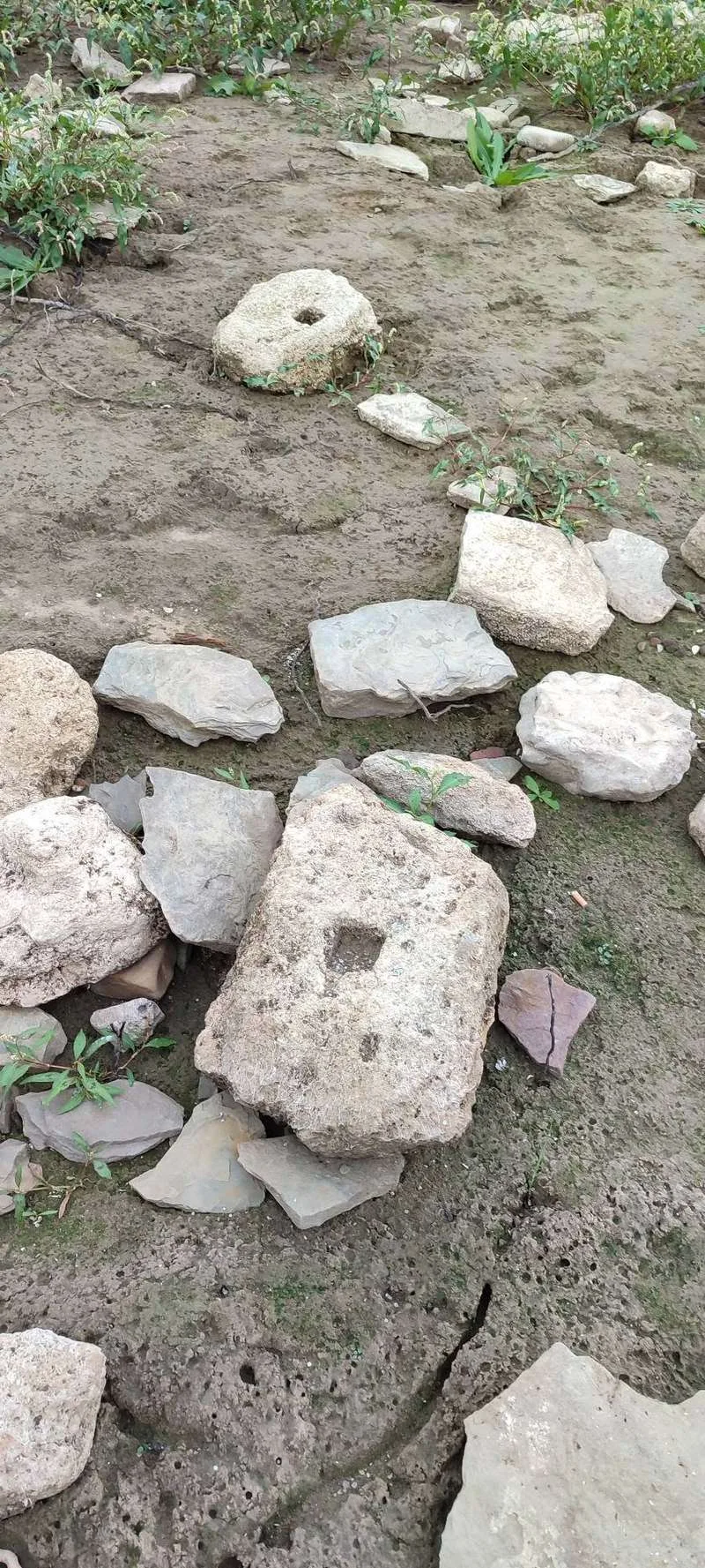 (ФОТО) Дністер міліє і на Буковині все більше історичних знахідок: сліди давніх поселень і доісторичних тварин