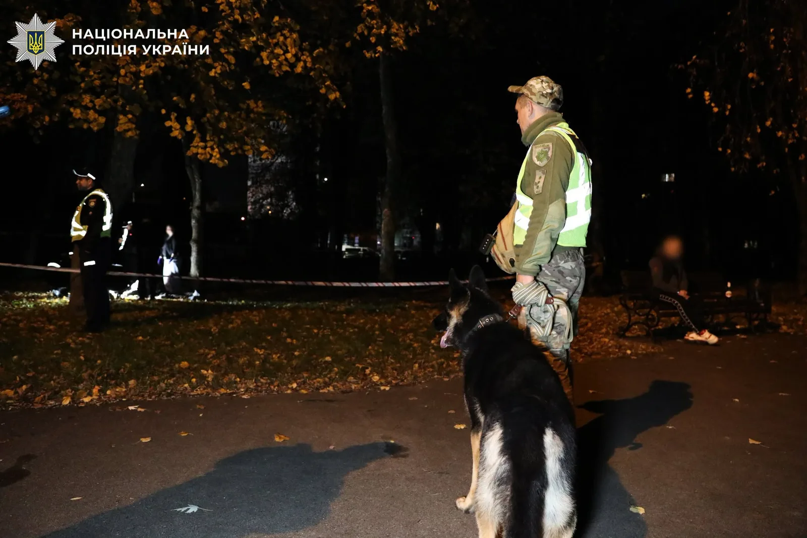 У Києві поліцейські затримали чоловіка, який під час конфлікту застрелив перехожого у парку (фото, відео)