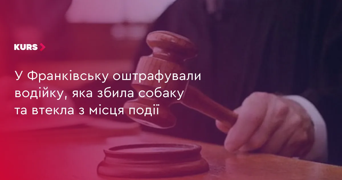 У Франківську оштрафували водійку, яка збила собаку та втекла з місця події