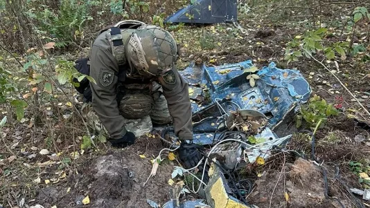 У лісі в Чернігівському районі знайшли бойову частину ворожого ударного безпілотника