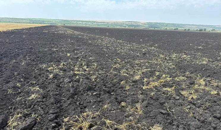 Господарство на Черкащині корегує технологію в умовах посухи